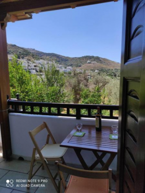 Naxos Filoti beautiful apartment with amazing view
